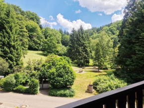 Wasserfälle Apartments Sasbachwalden